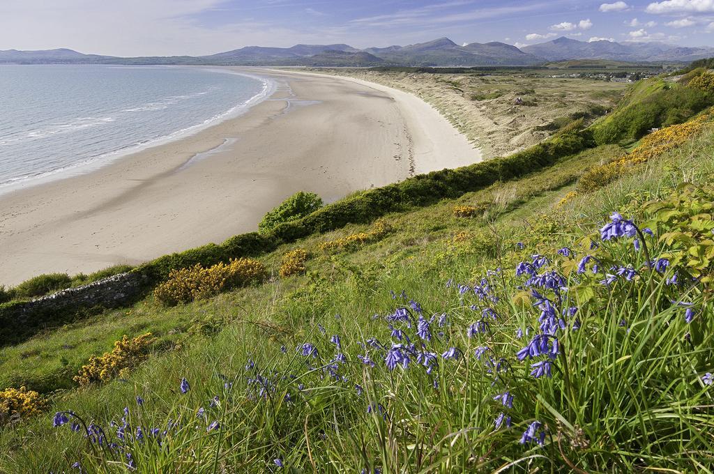 Becws Clyd Villa Trawsfynydd Buitenkant foto